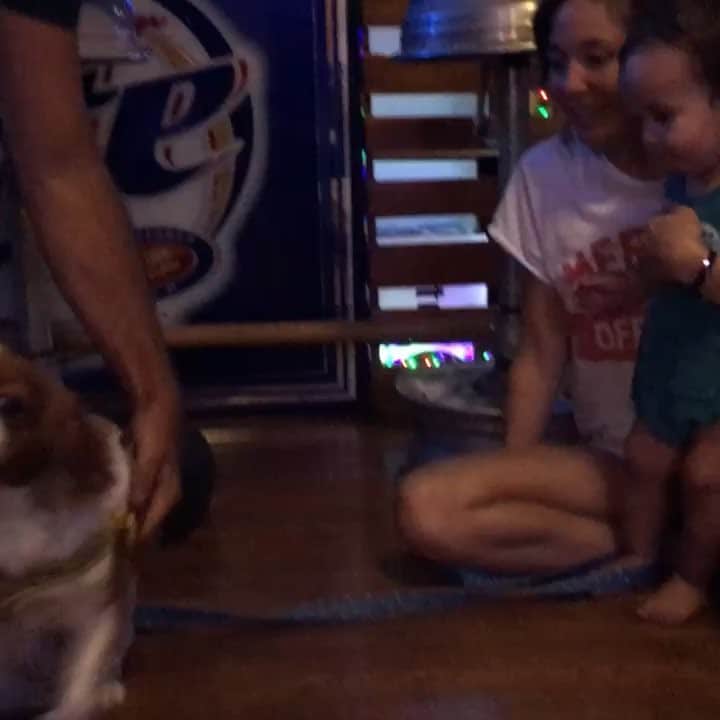 アリッサ ウーテンのインスタグラム：「OMG so this video just melts my ❤️ for some reason Noa REALLY loves dogs, we call them wanwan 🐾 Maybe Noa was a puppy in a past life 🐶 ✨ノアはほうんとうにほうんにいぬがだいすきなの！いつもワンワンってよんでいます、もしかしてまえのじんせいはこいぬだったのかな？Video by @kazsano PS this ADORABLE onesie is from target! It’s so cute it has like a dinosaur spine / tail 🦖」