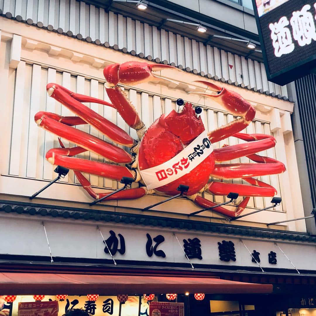 のインスタグラム：「久しぶりの大阪。  大阪にいた時は絶対に撮ることのなかった写真。 てか、かに道楽の前の通り、変わり過ぎててびびった。 #大阪 #かに道楽 #観光客だらけ #ほんまに外人だらけ #ルート33 #NGK #なんばグランド花月」