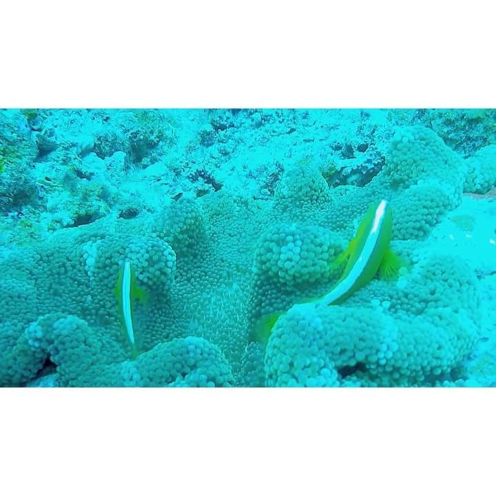 渡辺知夏子のインスタグラム