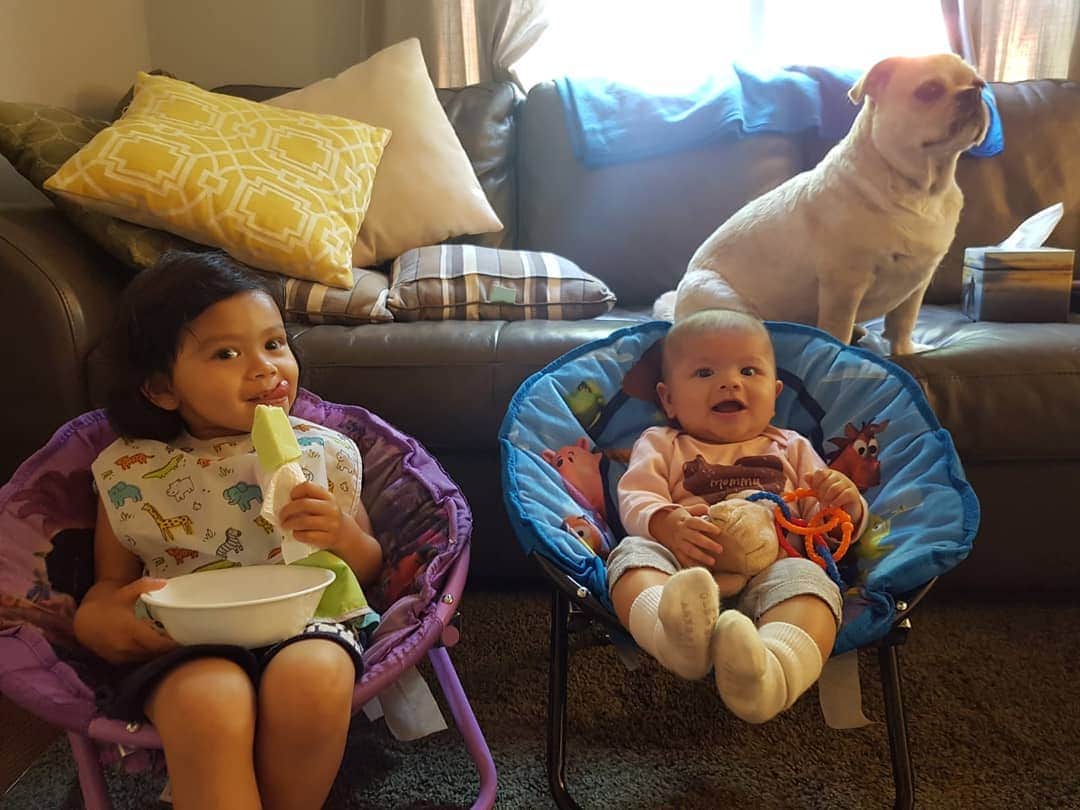 LuigiThePugTzuのインスタグラム：「I take my big bro role very seriously. #alwayswatching #pug #puglife #pugstagram#dailypug #pugsofinstagram #pugs #dog #puppy #cute #dogsofinstagram #dogs #nofilter #pugtzu #pugtzucrew #pugtzusofinstagram #pugtzus #adoptdontshop #rescue #keelyafternoontea #beoncanadianpugs #pugbasement #flatnosedogsociety #pugstagram」