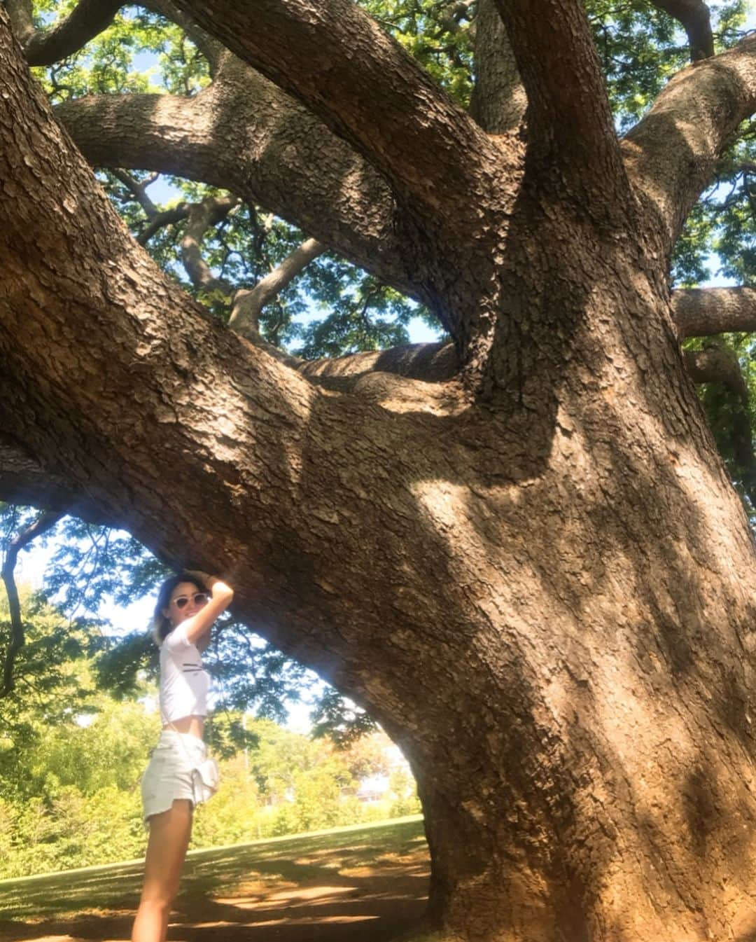 疋田星奈さんのインスタグラム写真 - (疋田星奈Instagram)「「アートウォール🎨」 「この木なんの木🌲」 オシャレなところが沢山♡ . この木なんの木の日立の木がHawaiiにあるの知らなかった😂🙌 . でも樹齢140年は半端ぢゃなかった！感動🤙 . . #パワースポット#この木なんの木 #気になる木（笑） #アートウォール #ハワイ #早めの夏休み #疋田星奈」6月13日 16時45分 - seina.91