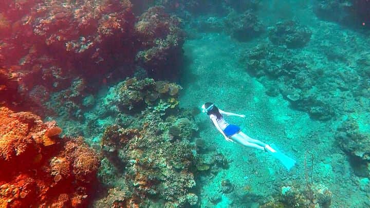 高橋万里恵さんのインスタグラム写真 - (高橋万里恵Instagram)「海の中はコポコポという水の音と、太陽の光のカーテンがゆらゆらが心地よいです✨ この感覚が大好きです。 もっと深く長く、海と一緒になれるように頑張ります^ ^🐬 . #西表島 #沖縄 #スキンダイビング #gull #lascuba #次はどこ潜ろう #ウミヘビに遭遇してややパニック笑」6月13日 17時38分 - marie__takahashi