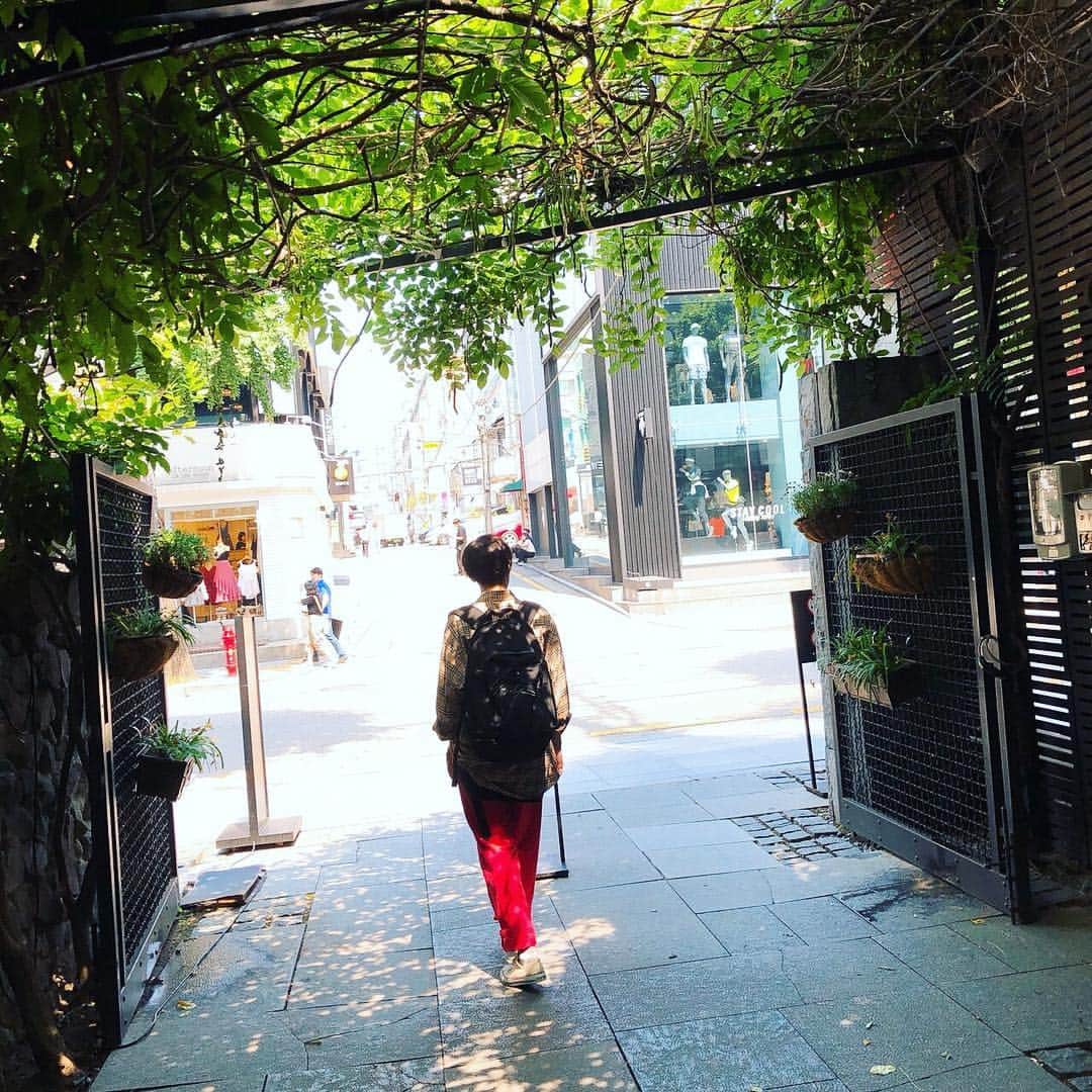 西野太盛さんのインスタグラム写真 - (西野太盛Instagram)「#韓国 #カロスキル 母にユーチューブみてるとこ隠し撮りではなく、頼むの巻 自然に歩いてる感出してるが、実は意識してる そおやって見ると、笑える🤮」6月13日 23時44分 - taisesese