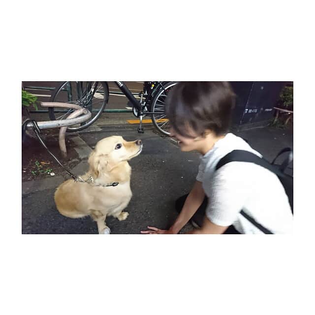 向井藍さんのインスタグラム写真 - (向井藍Instagram)「わんちゃんに負けた私…。 顔めっちゃ舐められた…」6月13日 21時29分 - muuchan1024