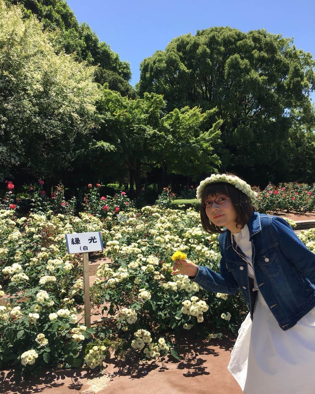 木部さんさんのインスタグラム写真 - (木部さんInstagram)「バラ園に行ってきましたー！🌹 #薔薇🌹 #🌞day #beatsx #drdre #この木なんの木気になる木 #roses #花かんむり手作り #しろつめくさ」5月20日 22時03分 - kibe_dayo