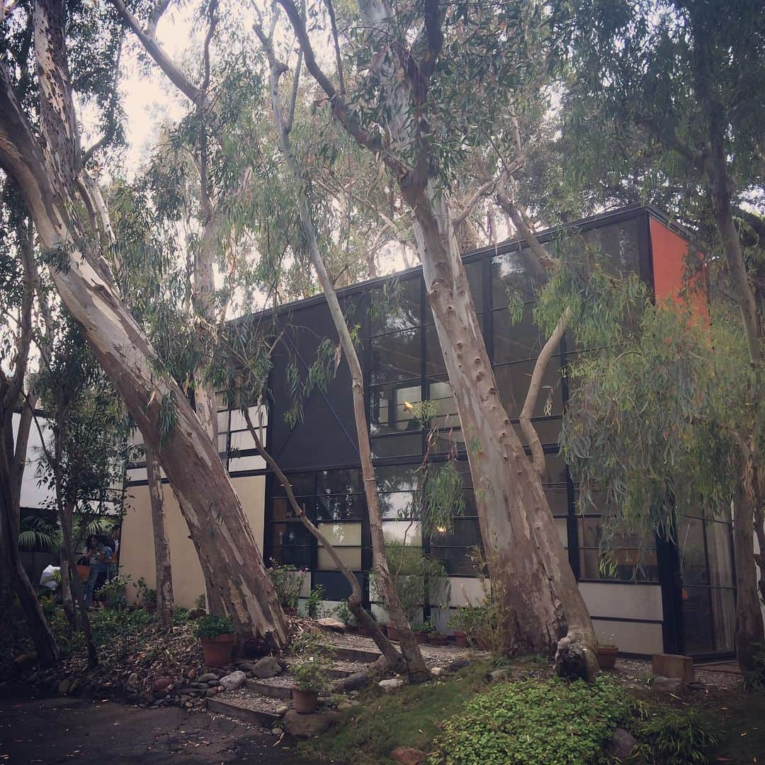 鈴木一真さんのインスタグラム写真 - (鈴木一真Instagram)「謎の湖と粋な家🌳 #LakeShrine #Yoga #EamsHouse #CaseStudyHouse #PacificPalisades #GoodVibes #GoodVibesOnly #WeekEnd」5月21日 10時58分 - _kazumasuzuki_