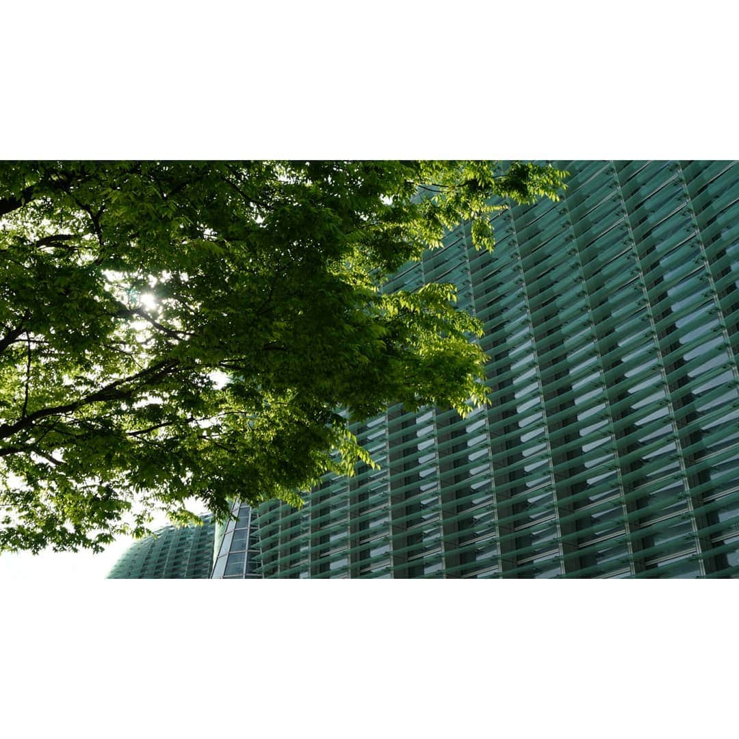 小野木里奈さんのインスタグラム写真 - (小野木里奈Instagram)「_ green！ ある日の晴れた日 . . 今日からまた１週間、 頑張りましょーうっ . . #国立新美術館 #晴れ」5月21日 13時32分 - rina_onogi