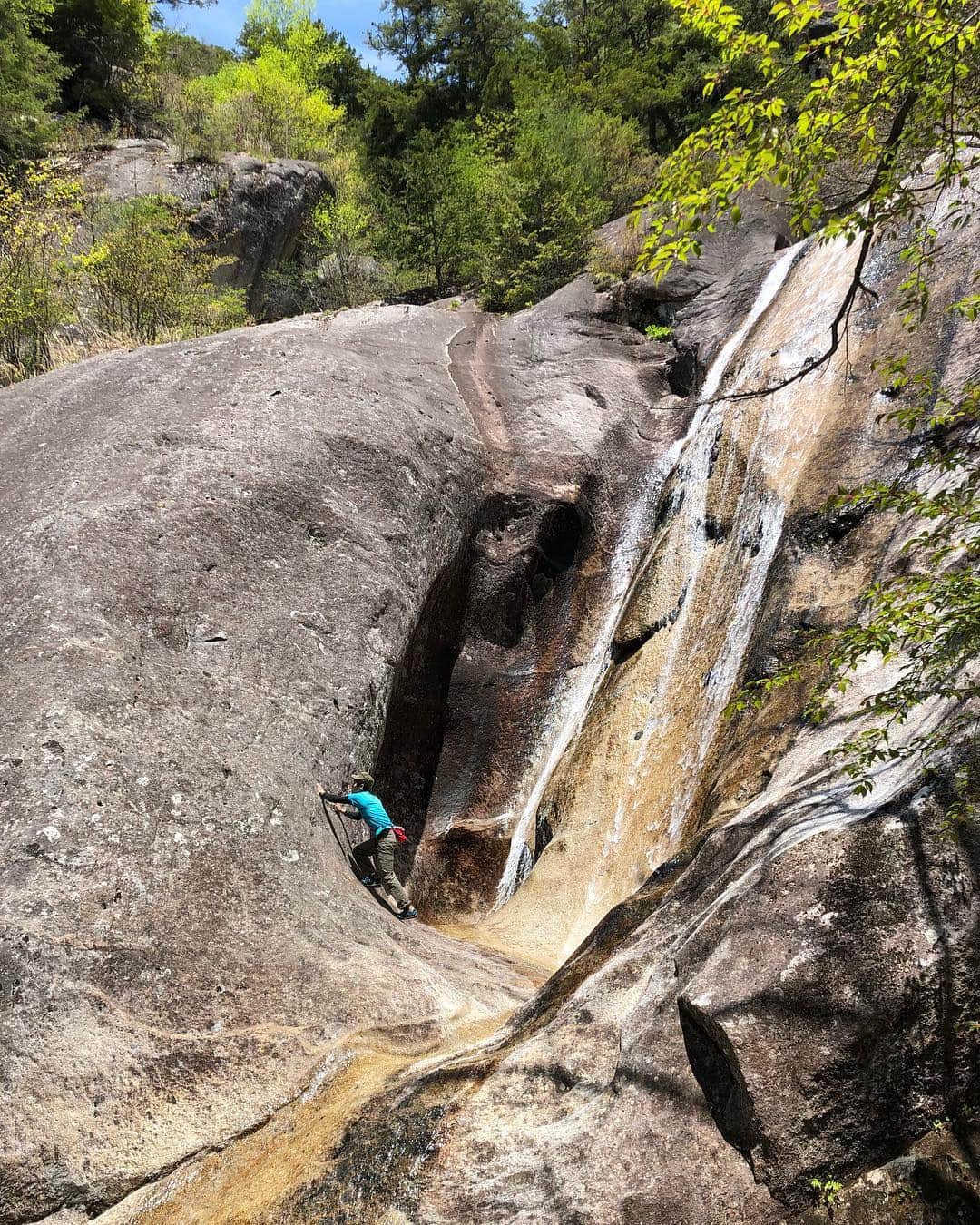 植田夢月のグルメインスタ
