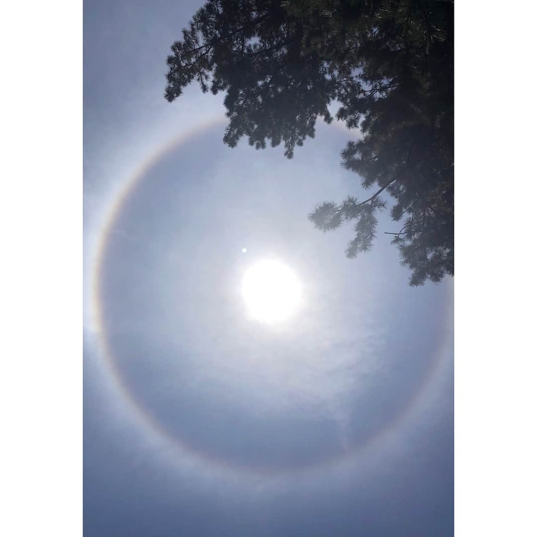 笹原優美さんのインスタグラム写真 - (笹原優美Instagram)「☆ 今日の空☀️みました？ 太陽の周りに大きな虹が架かっていましたね🌈 ハロ(日暈)っていう現象らしいです😆 神秘的な空でした🧚🏻‍♀️💓 #ゴルフ#golf #ハロ#日暈#太陽#虹 #インスタ映え」5月21日 17時14分 - yumi_sasahara_official