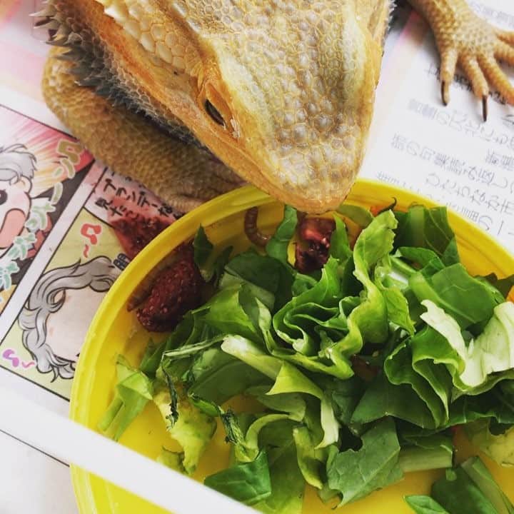 森泉のインスタグラム