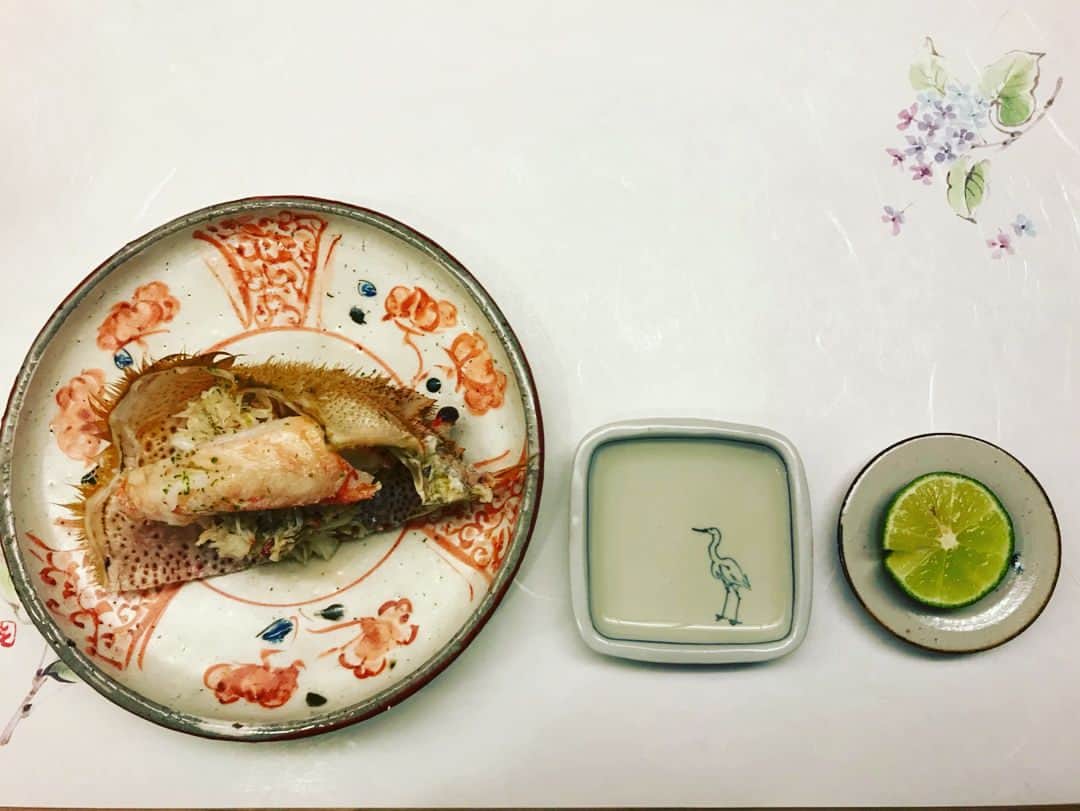 安田美沙子さんのインスタグラム写真 - (安田美沙子Instagram)「お仕事で大阪だったので、またまた息子くんと実家へ✨ 親友と、高校の先輩がやっている京阪丹波橋駅前の、志げる鮨さんへ。。。 2種類のうには、黄身と和えて幸せの味でした😭✨ 大好きなとり貝、鱧&新玉ねぎ、旬のものを地元でほっこり味わうことができました🎶  二条のタンシチュー&ハンバーグも美味しかった❤️京都を知りたいお年頃です。。。 #instagood  #instafood  #lunch #dinner  #japan #japanese #kyoto #sushi #はも  #深玉ねぎ #ぐじ  #ハンバーグ #タンシチュー #丹波橋 #二条 #志げる鮨 #グリルデミ #わんわん」5月22日 8時10分 - yasuda_misako