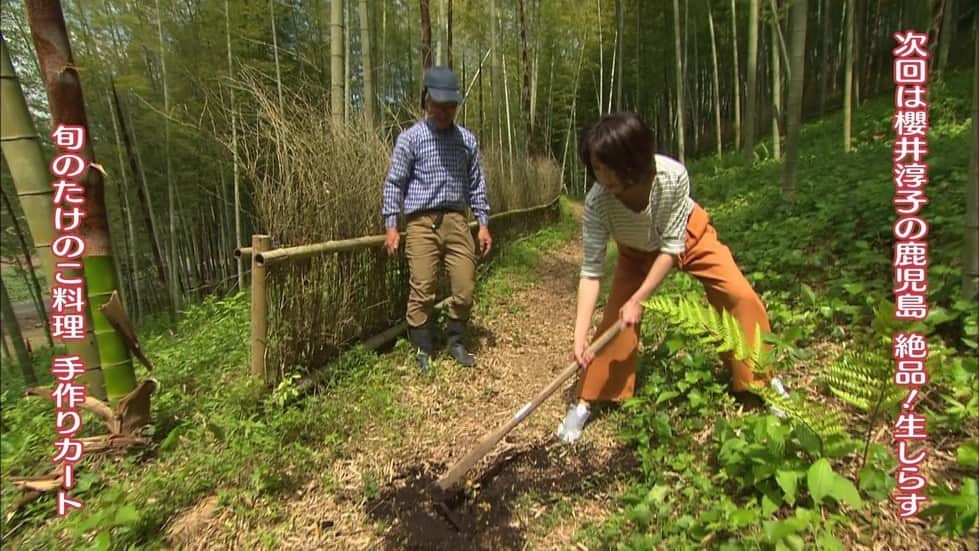 読売テレビ「遠くへ行きたい」のインスタグラム