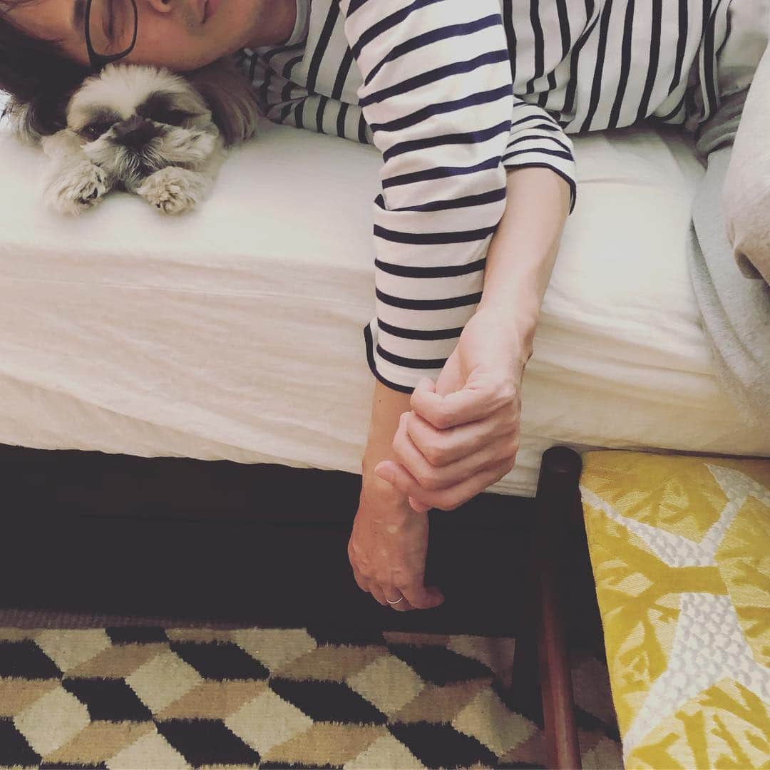 浜島直子さんのインスタグラム写真 - (浜島直子Instagram)「最高の枕👑 ・ #ピピちゃん #シーズー #元保護犬 #もちのろん #本気の体重はかけてまへん #我が家の癒し #我が家のオアシス」5月22日 12時40分 - hamaji_0912