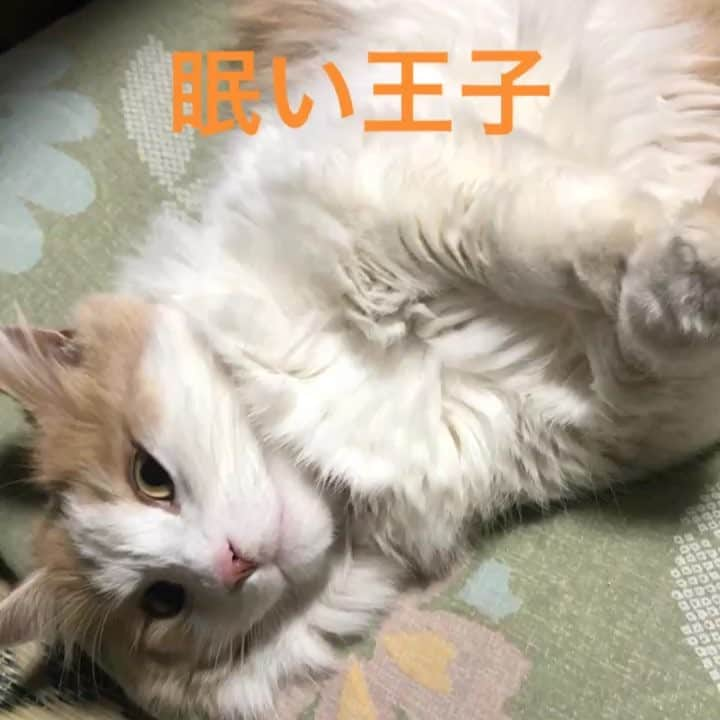 一平（Gパンパンダ）のインスタグラム