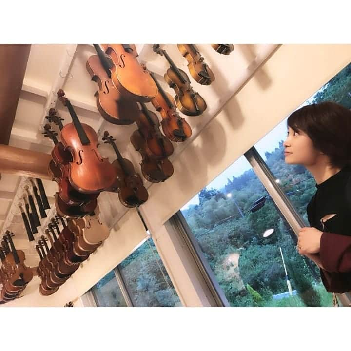 AYASAさんのインスタグラム写真 - (AYASAInstagram)「三朝バイオリン美術館にて🎻 ・ バイオリンという楽器がどのようにして作られていくのかを細かく教えていただきました✨ 23年間弾いてきていても知らないことがいっぱい…( ºωº )！！ でも作り手も弾き手も共通するのは"いかに良い音を出すか"ということなのだと実感しました✨ ・ 良い音をひたすらに追求して作り上げられたバイオリン🎻✨ 弾かせていただける立場にある自分は、製作者様の意志を継いでより良い音色を求め、そしてそのバイオリンで沢山の方々を楽しませることができるよう頑張っていきたいと改めて思いました！！ ・ 三朝バイオリン美術館の岡野館長と、鳥取バイオリン製作学校の生徒の皆様と☺️🎶 4枚目は我がバヨリンちゃん🎻💕 ・ ・ #三朝バイオリン美術館 #鳥取 #バイオリン #violin  #5弦バイオリン #バヨリン  #f字孔マニア」5月22日 22時35分 - ayasa_doya