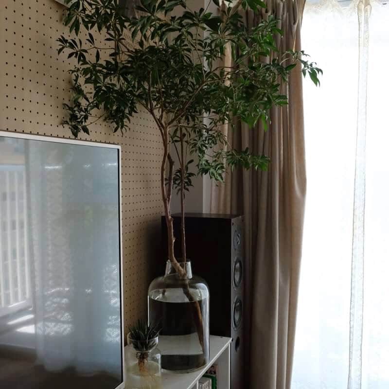 HornPleaseのインスタグラム：「・ <#hornplease>よりフラワーベース入荷しました！ ・ 大きな枝物などもすっぽり入り、存在感も負けていない。 植物をバランスよくお部屋に飾れるフラワーベースです。 ・ ・ ご購入はプロフィールリンクからできます。 ▼ ▼ ▼ @hornpleaseselect ・ ・ #hornpleaseselect #雑貨 #日用品  #インテリア #ナチュラル #天然素材 #暮らし #くらし #丁寧な暮らし #暮らしを楽しむ #植物のある生活 #植物のある暮らし #おうちインテリア #花のある暮らし #フラワーベース #リビング #ひとり暮らし #一人暮らし #身の丈生活  #interior#interiordesign #natural #livingroom  #gardening #simplelife #simple #green #interiorgreen #flowervase」