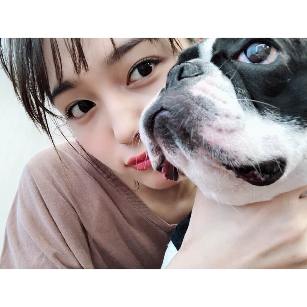 川口春奈さんのインスタグラム写真 - (川口春奈Instagram)「いっぱいメッセージありがとうございました👏楽しみにしていてくださいまし。本日はアムさんもご出勤でした。」5月23日 15時17分 - haruna_kawaguchi_official