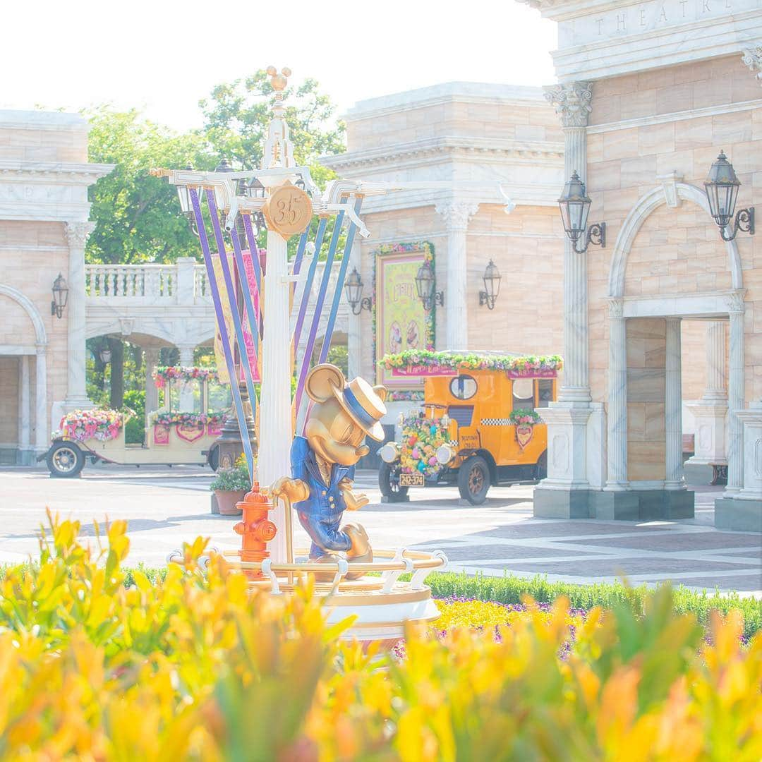 東京ディズニーリゾートのインスタグラム