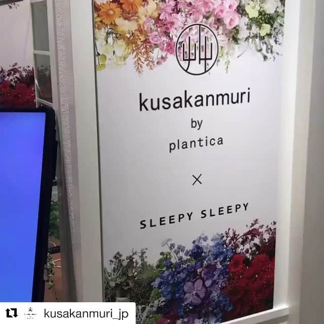planticaのインスタグラム