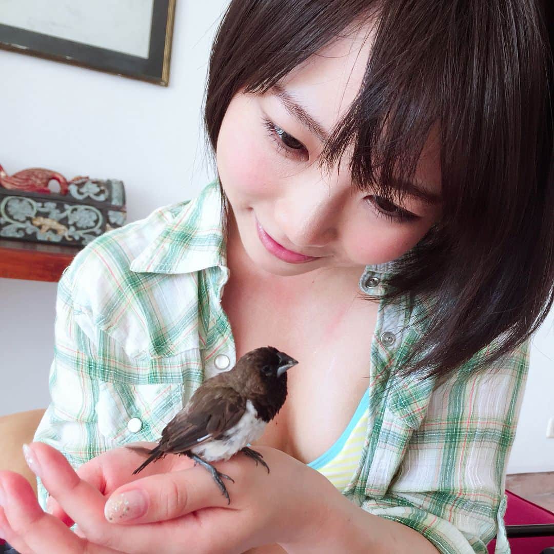 戸田真琴さんのインスタグラム写真 - (戸田真琴Instagram)「小鳥さん #shooting #小さなお客さん #kawaii」5月24日 11時33分 - toda_makoto