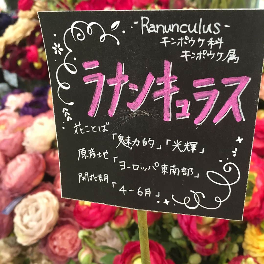横浜ディスプレイミュージアムのインスタグラム：「シルクフラワー売場には、このような可愛いPOPがいたるところに設置されています♪  花言葉やスタッフいち押しポイント、さらには商品開発チームのフラワーデザイナーのおすすめなど、様々なPOPがございます！ ぜひお店でチェックしてみてください🌼  #横浜ディスプレイミュージアム #yokohamadisplaymuseum #横浜 #yokohama #ディスプレイ #インテリア #interior #アーティフィシャルフラワー #造花 #フラワーアレンジメント #ブーケ #flowers #flowerarrangement #ラナンキュラス #花のある暮らし」