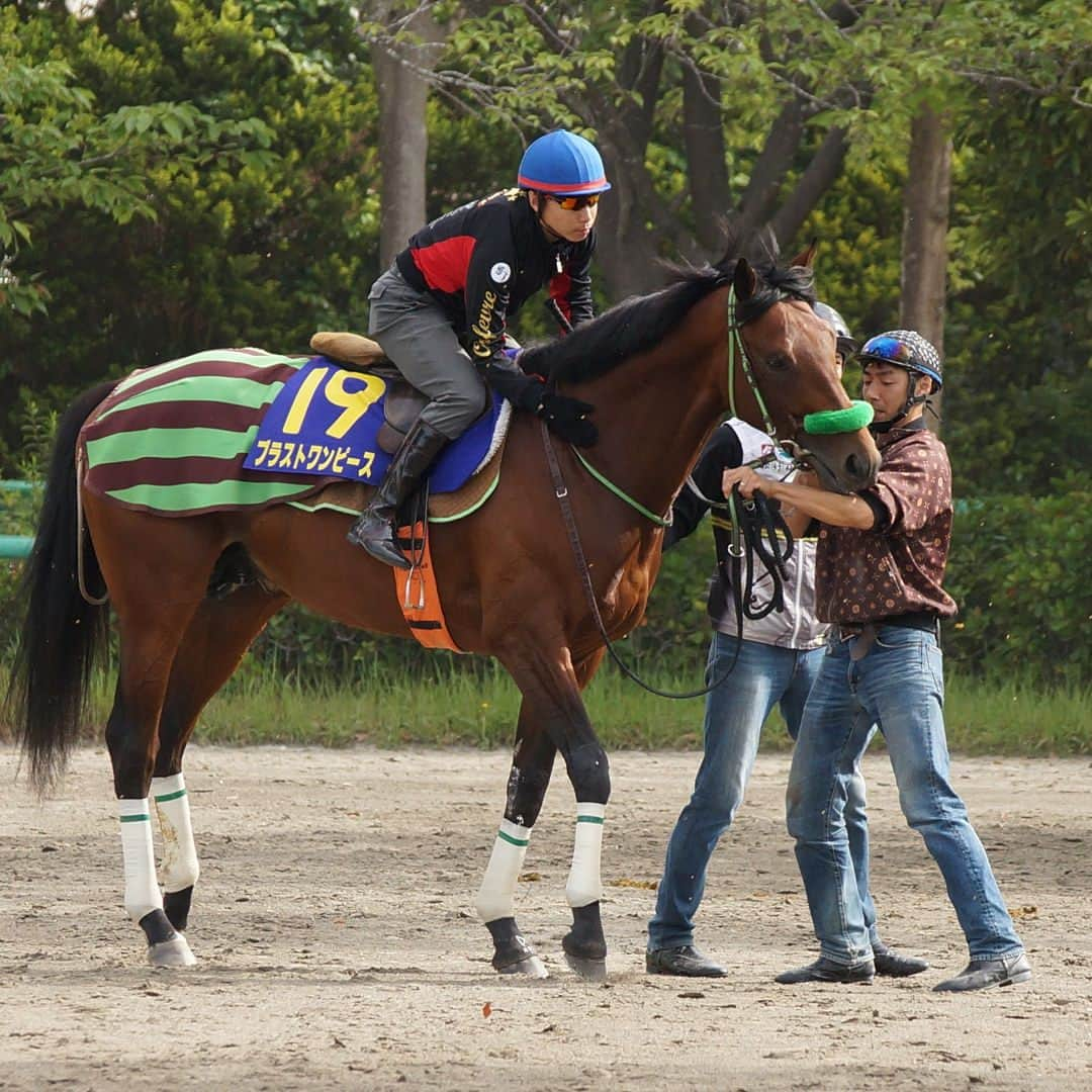 池添謙一さんのインスタグラム写真 - (池添謙一Instagram)「いよいよ今週末日本ダービーです🏇 デビューして初めて美浦でダービーウィークを迎えました。 美浦も栗東同様、ダービーの雰囲気、緊張感、感じました。 今年のダービーはブラストワンピースで挑みます🐴 3戦とも僕の要求したものを全て満点の内容、結果で答えてくれました。 最終追い切りも無事に終わり後は本番を迎えるだけです。状態は現状ピークでいけると思います。 ダービー当日は僕ら関係者も、マスコミの方も、そして競馬場に足を運んでくださるファンの方もダービーっていう緊張感、雰囲気を作り上げます。その中でレースができる。ダービーに乗れる。その緊張感、雰囲気たまりません。 まずはダービーに乗れる事に感謝です。 縁を感じるブラストワンピース自分自身の中で思い入れがすごくあります。 枠も決まりました！ ブラストワンピースにとって生涯1度しかない牡馬クラシックの日本ダービー。 一緒に勝てるように最高の騎乗ができるように頑張りたいと思います🐴 #ナイツ土屋さん #さゆりんごさん #小澤陽子アナウンサー」5月24日 16時09分 - kenchan.0723