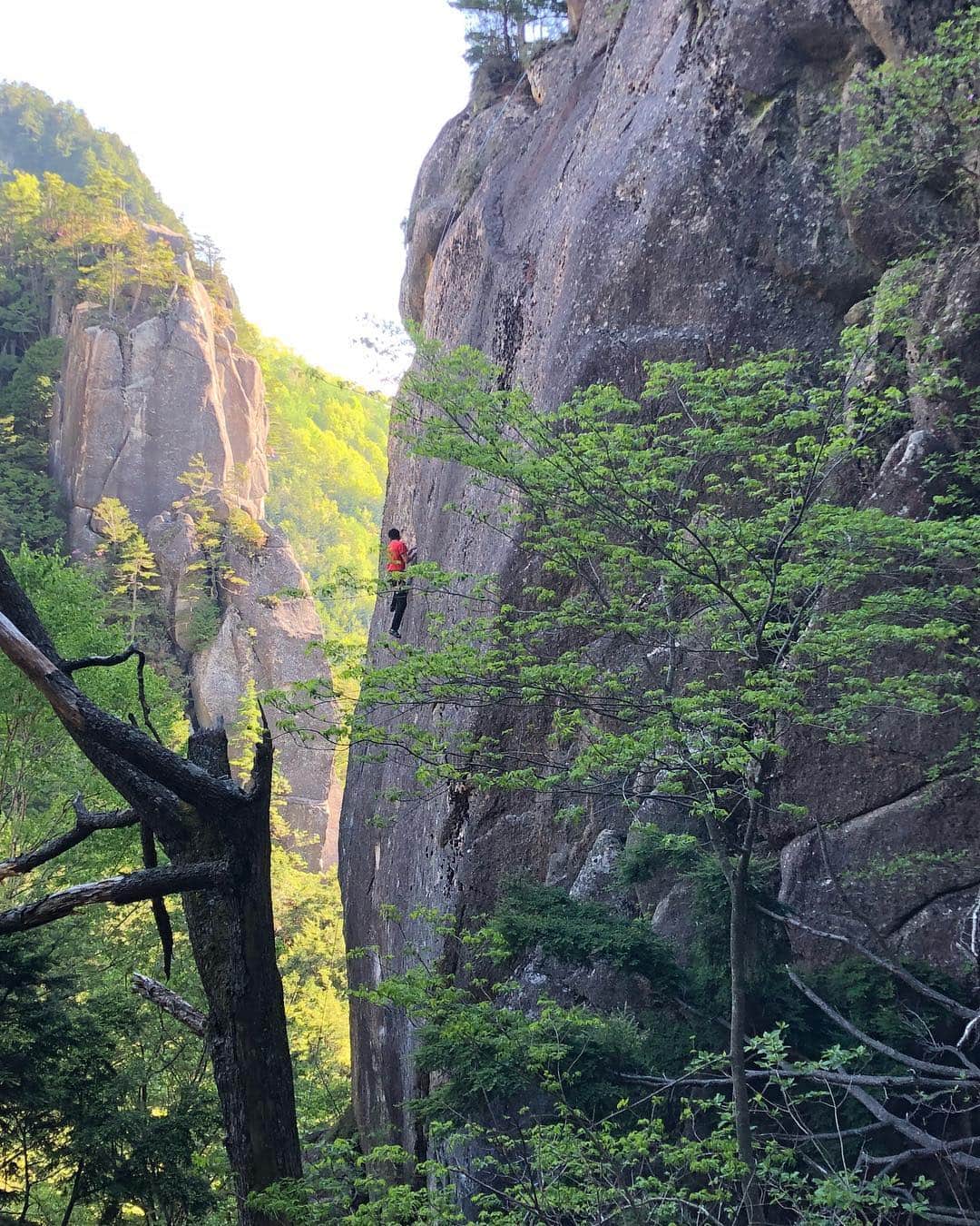 植田夢月のグルメインスタ