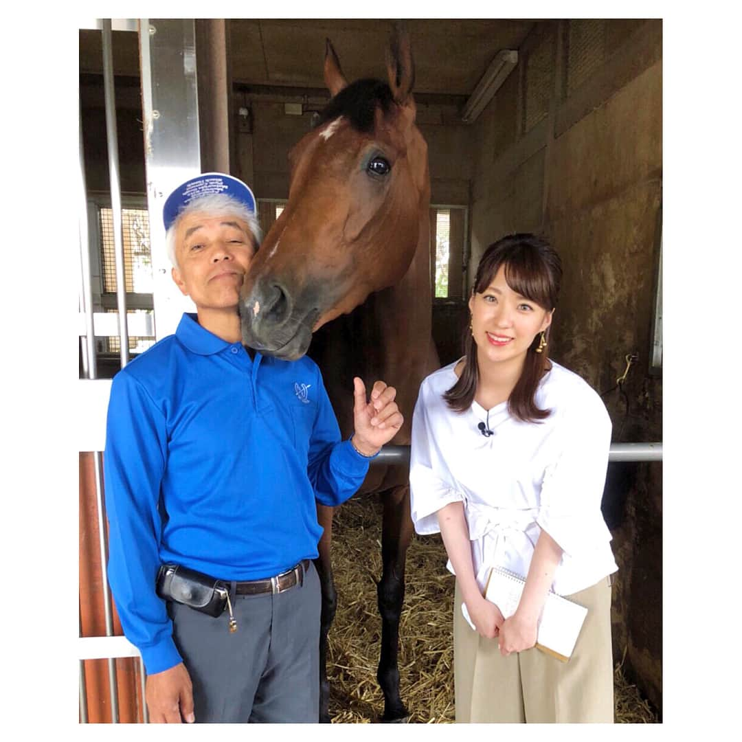 色紙千尋さんのインスタグラム写真 - (色紙千尋Instagram)「国枝先生とアーモンドアイ😆💗💗💗 #国枝栄調教師 #国枝厩舎 #アーモンドアイ #オークス #二冠達成 #美浦トレセン #競馬 #トレまる #グリーンチャンネル #美浦村 #レース後 #おめでとう #インタビュー #可愛すぎる #強すぎる #可愛すぎる #インスタアーモンドアイ多め笑」5月24日 22時26分 - shikishi_chihiro