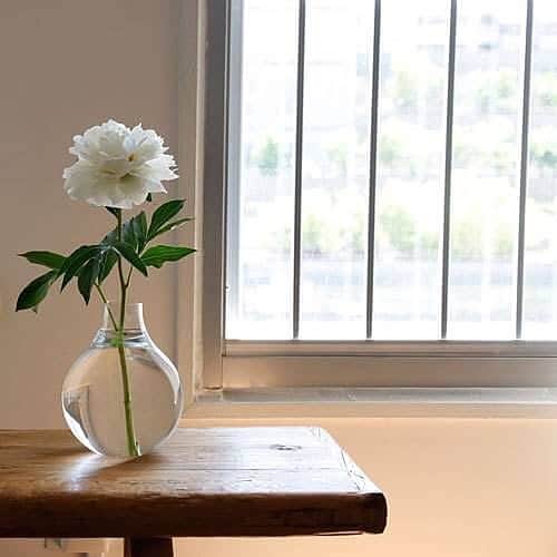 HornPleaseのインスタグラム：「・ コロンとした丸いフォルムが個性的。 ・ 大きめのお花を一輪挿しにしたりすると絵になるかわいさ。 ・ ・ ・ ご購入はプロフィールリンクからできます。 ▼ ▼ ▼ @hornpleaseselect ・ ・ #hornpleaseselect #hornplease #雑貨 #日用品  #インテリア #ナチュラル #天然素材 #暮らし #くらし #丁寧な暮らし #暮らしを楽しむ #植物のある生活 #植物のある暮らし #おうちインテリア #花のある暮らし #フラワーベース #リビング #interior#interiordesign #natural #livingroom  #gardening #simplelife #simple #green #interiorgreen #flowervase」