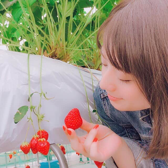 近野成美のインスタグラム