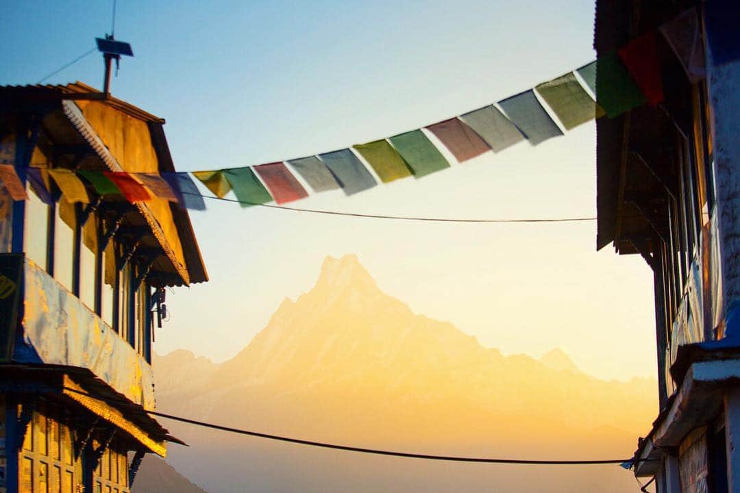 National Geographic Travelさんのインスタグラム写真 - (National Geographic TravelInstagram)「Photo: @emilypolar Prayer flags and snowy peaks are two iconic symbols of Nepal. You'll see prayer flags in many places outdoors, carrying wishes of well-being and peace for all. As for the mountains, hopefully you are blessed with good weather and visibility to soak up their beauty. To see more of this world follow @emilypolar #nepal #machapuchare #himalayas #teahouse」5月24日 23時37分 - natgeotravel