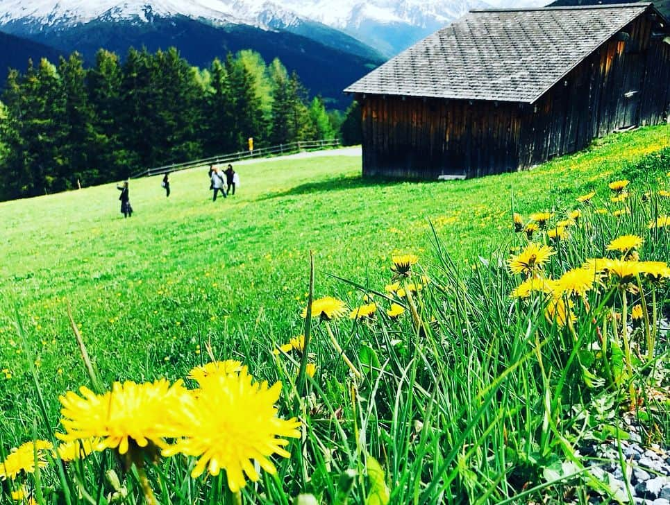 小鳩ミクさんのインスタグラム写真 - (小鳩ミクInstagram)「はじめてのスイス🇨🇭 みんなでゴンドラに乗ったっぽ。大自然がすごかったっぽ。 りあるハイジの世界だったっぽ🕊ビールも美味しかったっぽ。 #最後の動画音量注意！⚠️ #かなみんちょは高所が苦手っぽ。 #davos #Schatzalp」5月25日 2時33分 - kobatomiku