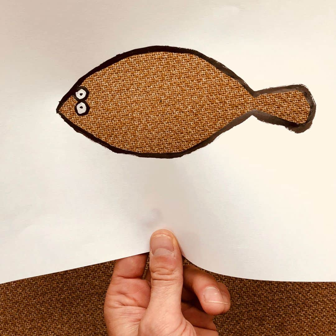 Jean Jullienさんのインスタグラム写真 - (Jean JullienInstagram)「Flat fish patterns everywhere 👀」5月25日 21時38分 - jean_jullien