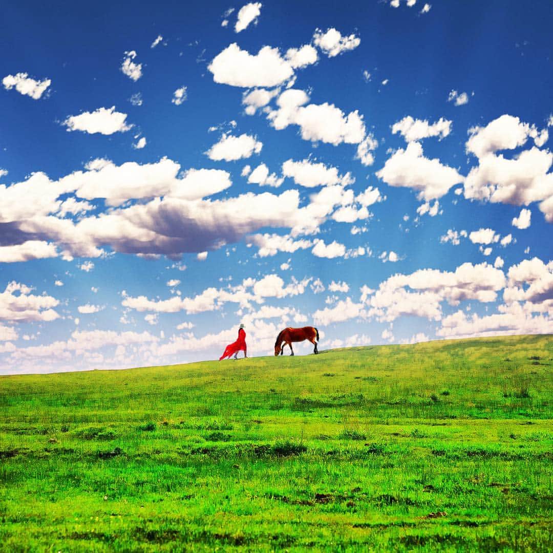 wacameraのインスタグラム：「💃🐎#ASO NHKで6月16日放送の番組webサイトができたみたいです( ●´◡`● ) 1つの予告編が既にあがっていますが、今後毎週トレイラー動画がアップされるみたいで、私も写ってます！ぜひ 「 #新日本いいね! 」ハッシュタグ付きでネット検索してみてください。」
