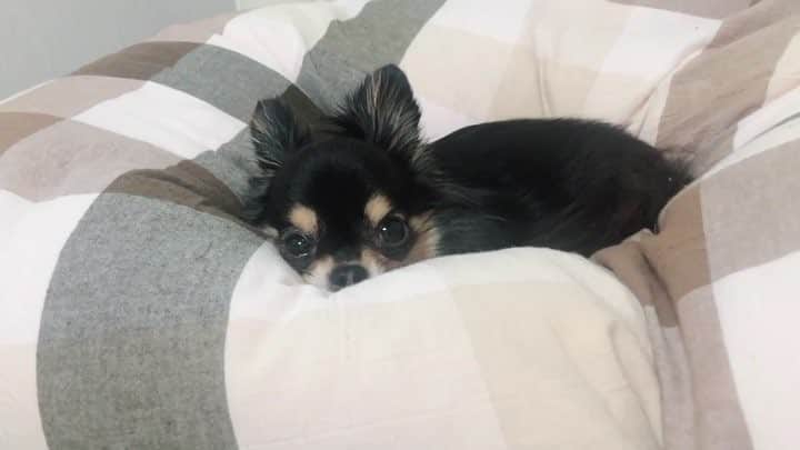 梅田悠のインスタグラム