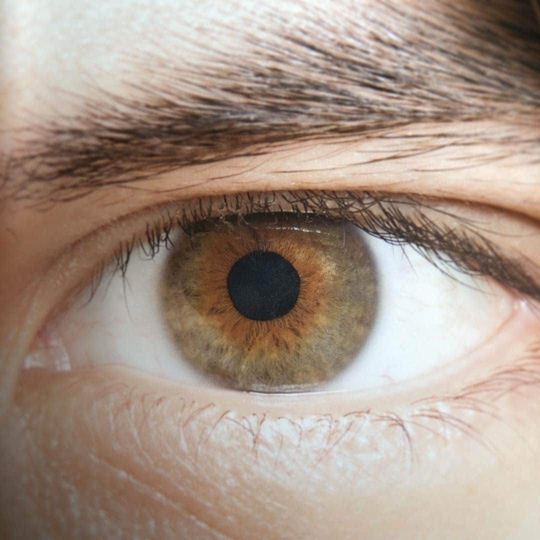 城田優さんのインスタグラム写真 城田優instagram ひまわり を探せ Busca El Girasol Find The Sunflower 500回目の投稿 自分の好きな所 Sunflower Girasol ひまわり あなたは自分のどこが好きですか 5月26日 9時35分 Yu Shirota