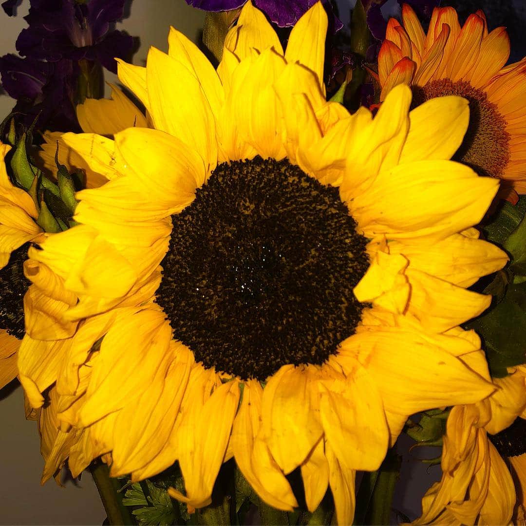 ルーク・エヴァンズさんのインスタグラム写真 - (ルーク・エヴァンズInstagram)「Happy birthday Sunflower @octaviaspencer i hope you’re having a wonderful day. ❤️」5月26日 12時37分 - thereallukeevans