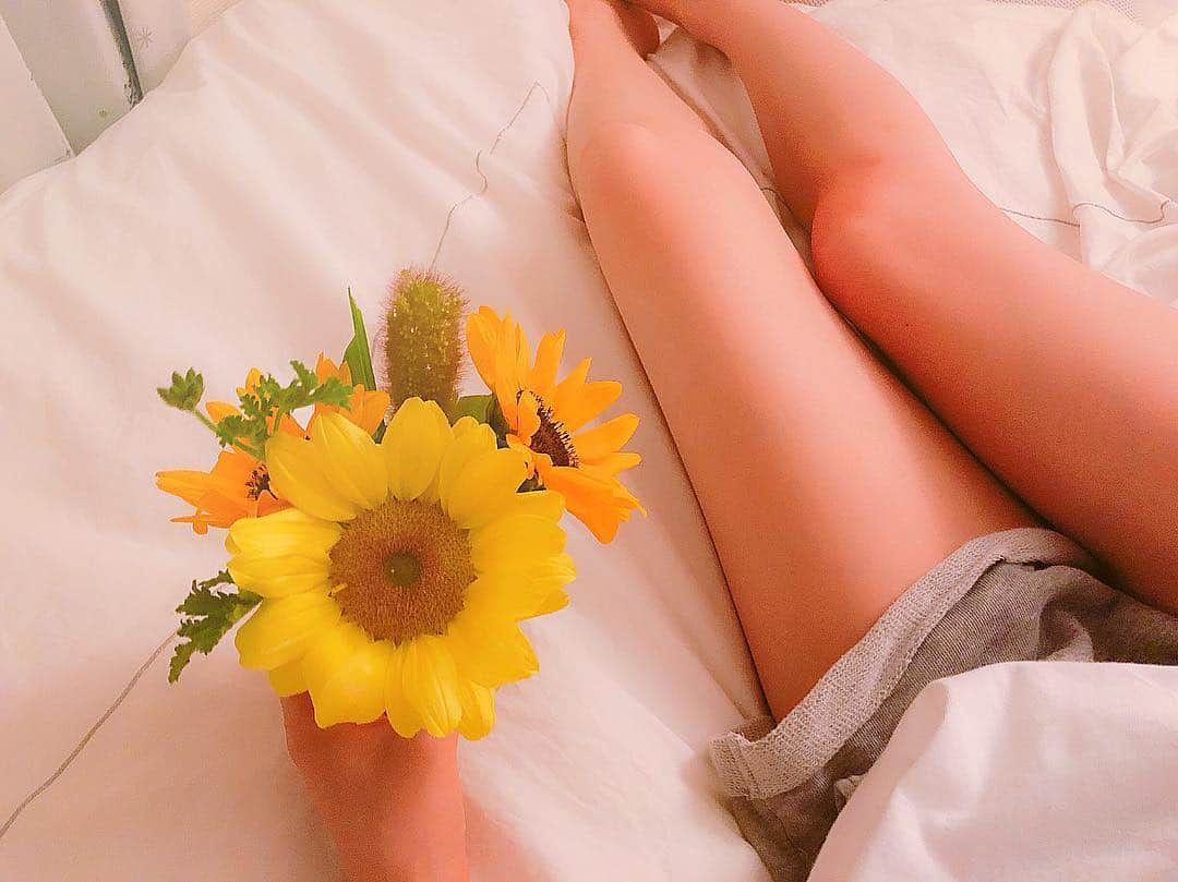 黒田絢子さんのインスタグラム写真 - (黒田絢子Instagram)「. . Good night...🌻 . . #flower#sunflower#loving #bedtime#黒田絢子‬#ayakokuroda#japanesegirl#actress#singer#dancer#choreographer#kamenridergirls#女優#タレント#fashion#mystyle#instagood#instafood#tasty#followme」5月27日 2時34分 - ayakokuroda_official