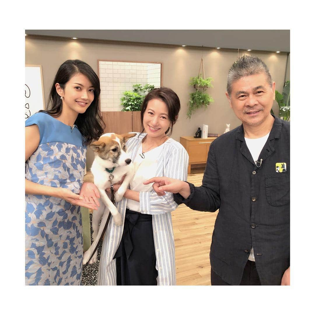 田中道子さんのインスタグラム写真 - (田中道子Instagram)「#家族になろうよ 🐶🐱#bsプレミアム にて本日23:45から朝の5時まで放送してます☺️✨ 寝付けない方はぜひご覧ください！  普段は出不精だし、ご飯や飲み行ったりもほぼしないので、一人暮らしだと夜とか本当寂しすぎるから、猫ちゃん飼いたいなーほんと😭✨ ちなみに糸井さんは、あのMOTHERシリーズのときからの大ファン…😂❣️」5月26日 21時15分 - michikotanaka_official