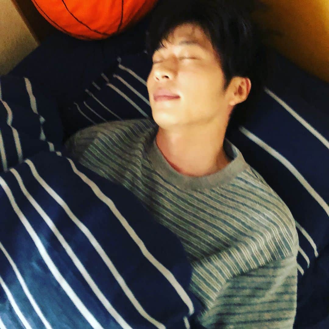 おっさんずラブ 武蔵の部屋さんのインスタグラム写真 - (おっさんずラブ 武蔵の部屋Instagram)「あれから1年が経ちました。いま私は、はるたんと同棲しています。 #おはようはるたん #寝顔にズームインッ✨ #本日は仰向けでぐっすりです #まだうつ伏せで寝るぅー👊を見られていません #今後の課題です #はるたんインザハウスシリーズ🏠 #たくさんアップしてゆきたいと思います」5月27日 0時03分 - musashis_room