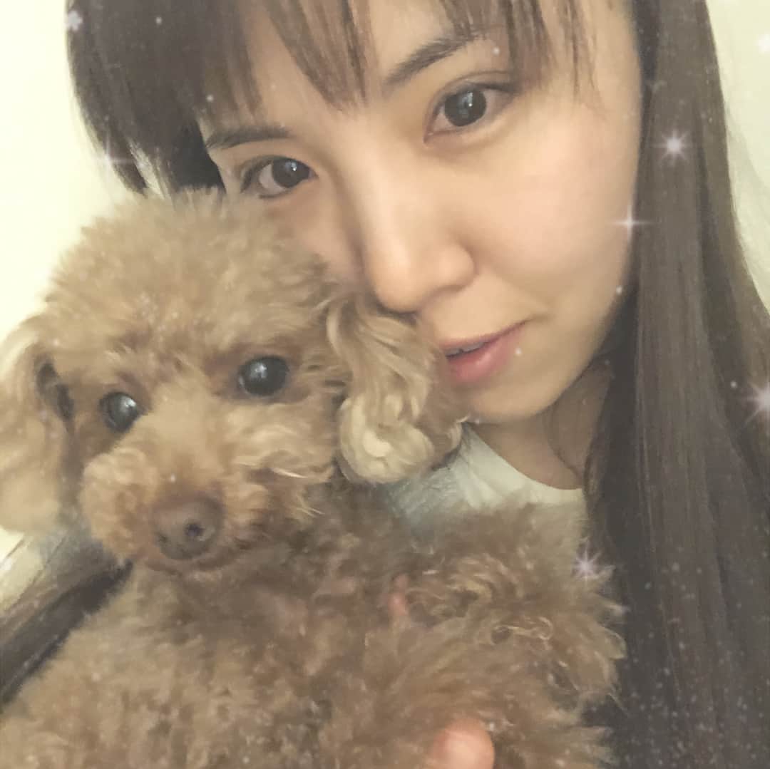 阿部真央のインスタグラム：「宝物。🐶おやすみ」