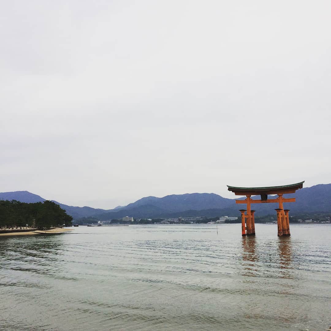 長谷部瞳さんのインスタグラム写真 - (長谷部瞳Instagram)「広島県にきています。 いつきても大好きな場所。 自分のルーツを感じられる県です。 ・ 5月ということもあって、修学旅行生がいっぱい。 広島で、たくさんのことを学んで帰ってくださいね。 #広島 #宮島 #厳島神社 #参拝 #大鳥居 #御朱印集め」5月27日 1時09分 - hasebe_hitomi