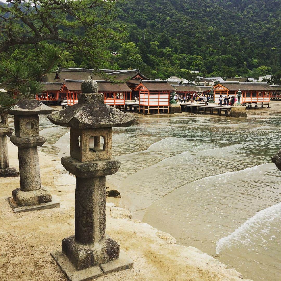 長谷部瞳さんのインスタグラム写真 - (長谷部瞳Instagram)「広島県にきています。 いつきても大好きな場所。 自分のルーツを感じられる県です。 ・ 5月ということもあって、修学旅行生がいっぱい。 広島で、たくさんのことを学んで帰ってくださいね。 #広島 #宮島 #厳島神社 #参拝 #大鳥居 #御朱印集め」5月27日 1時09分 - hasebe_hitomi