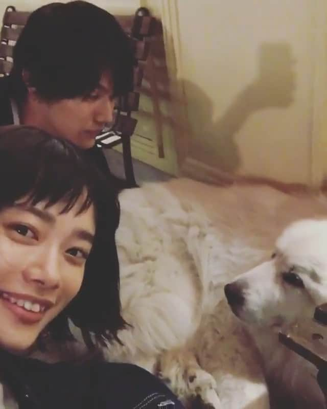 TBS「花のち晴れ〜花男 Next Season〜」のインスタグラム：「通りすがりのお犬さま、デイジーと🐩 #音グラム #花晴れ」