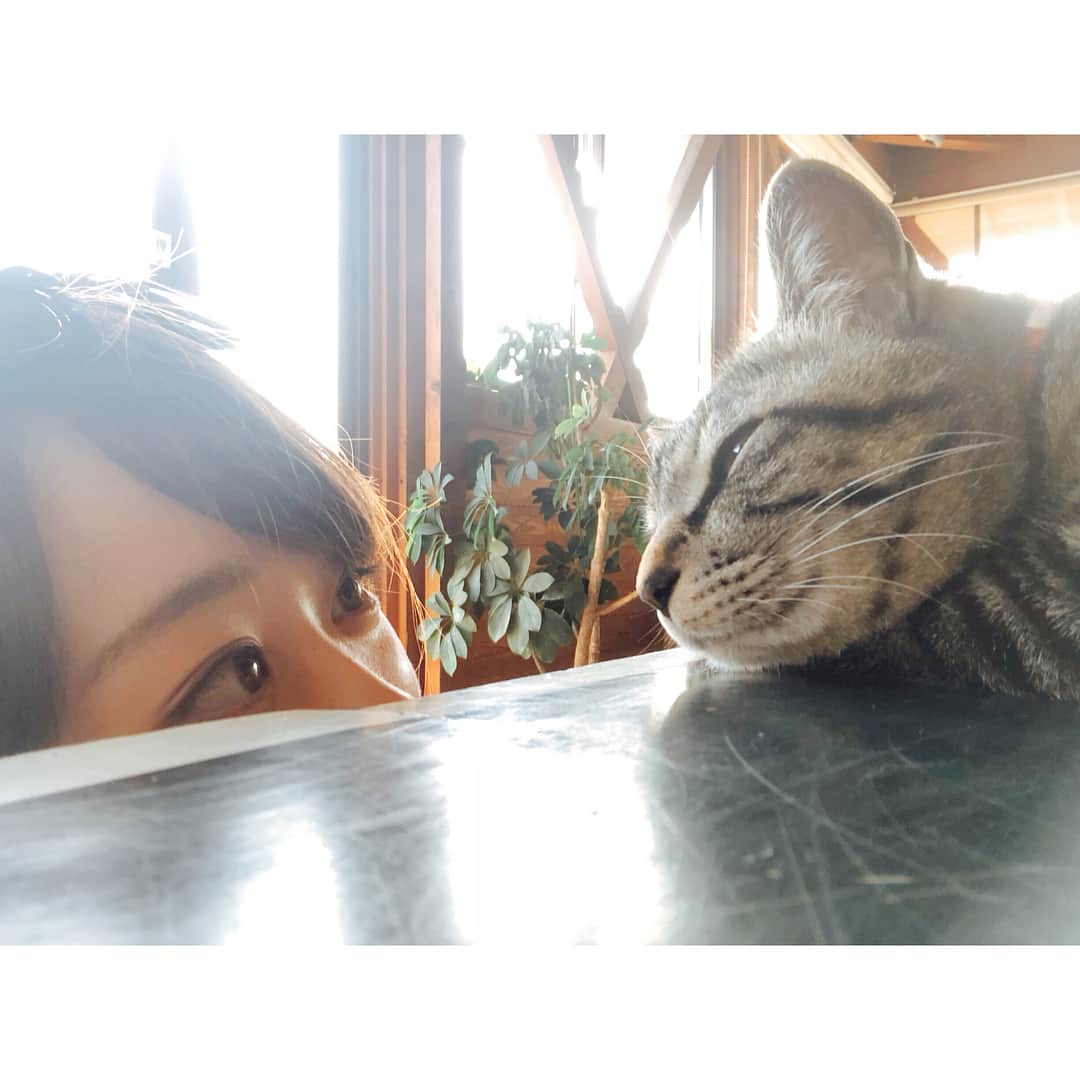 笹原優美のグルメインスタ