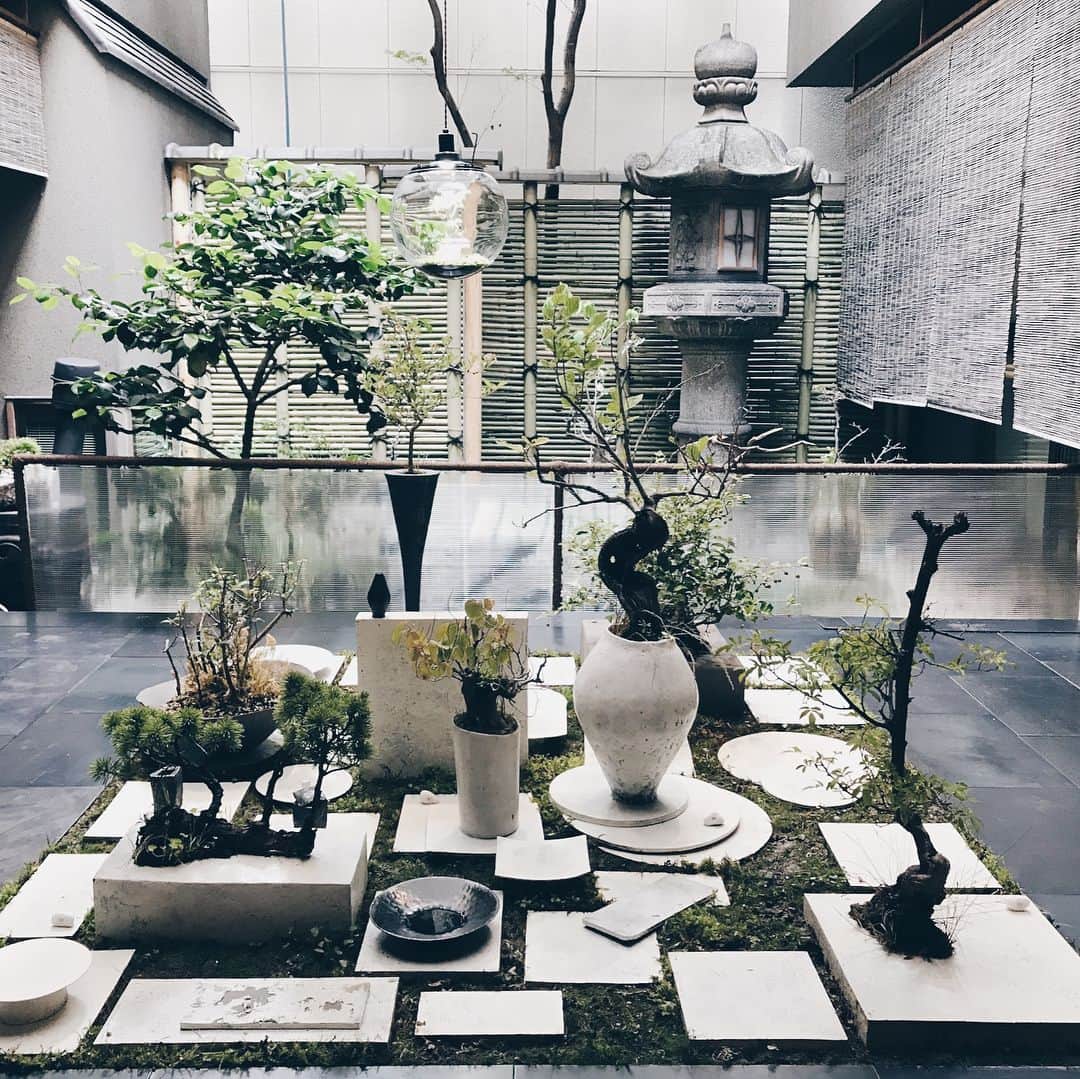 安田美沙子さんのインスタグラム写真 - (安田美沙子Instagram)「いつかの京都にて。。YDSギャラリーさんで、素敵な空間に癒されて来ました。作家さんの作品×植物の創り出す雰囲気は、人だけでは生み出せない世界観でした。。。 次は、彫刻みたいです✨見にいけますように。。。 #instagood  #japan #japanese #器 #kyoto #yds #nature @gallery_yds」5月28日 22時11分 - yasuda_misako