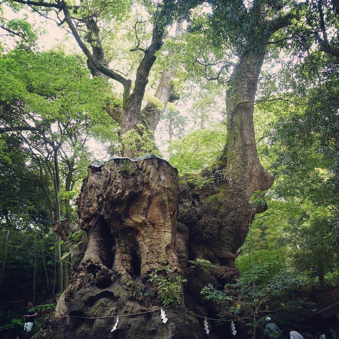 貫地谷しほりさんのインスタグラム写真 - (貫地谷しほりInstagram)「いつかのひょっこりはん。 気持ちの良い日だったなぁ。 #リフレッシュ #パワーチャージ #寺社仏閣 #自然 #好きだなぁ #次はどこに行こうかな」5月30日 23時31分 - shihori_kanjiya