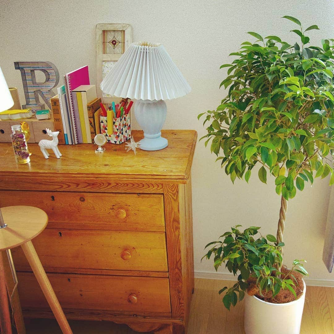 レオパリスくんさんのインスタグラム写真 - (レオパリスくんInstagram)「(=´•౪•`)o[myDIY]o お部屋のアクセントにもなっているクラシカルでエレガントなライトスタンド。淡いブルーカラーが北欧インテリアにマッチしていてステキです！  #レオパレス21 #ひとり暮らし #myDIY #leo_myDIY #部屋 #インテリア #インテリアコーディネート #DIY #賃貸 #レオパリスくん #instagood #ライト #ライトスタンド #テーブルライト #グリーン #チェスト #アンティーク #北欧系 #グリーンのある暮らし」5月30日 16時10分 - leopalace21