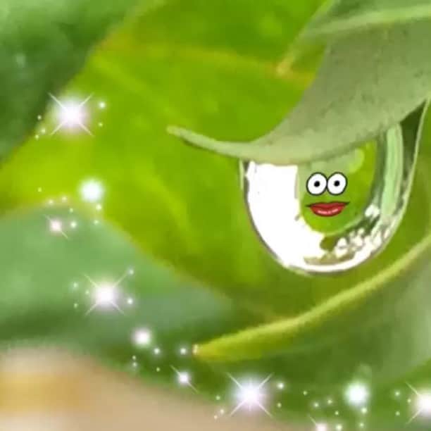 花原あんりのインスタグラム：「雨凄かったですね☔️ 水滴スッテキーの歌(^o^)💕」
