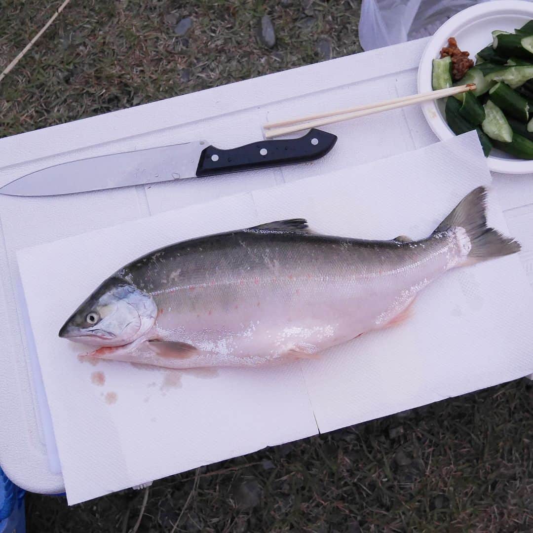 西条市さんのインスタグラム写真 - (西条市Instagram)「大人の夜キャンプ 広報さいじょうの取材のために、加茂川トリム公園へ。 ・ キャンプに慣れた地元のみなさんが、その日釣った魚、地元のお酒などを楽しんでいました。 この日のために県外から来られたメンバーの方は、西条は水もきれいで魚もきれい、と＾＾ ・ キャンプ＝夏のイメージですが、梅雨前のシーズンもおすすめ。広報紙では、夏の外遊びの可能性を探ります☀️ ※河原などのご利用後は必ずゴミを片付けてください。 ・ #lovesaijo#西条市#いよ西条#伊予西条#愛媛西条#Saijocity#愛媛#Ehime#四国#Shikoku#瀬戸内#setouchi#いなか暮らし#田舎暮らし#ライフスタイル#lifestyle」5月30日 18時07分 - lovesaijo